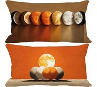 Outdoor Cushions 50cm x 70cm, Set of 2 Burnt Orange Cushion Covers Soft Sofa Pillows Covers Nordic, Decorative Pillows with Invisible Zip for Outdoor Garden Furniture Patio Couch Home Decor -2825j