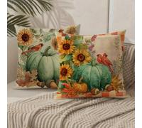 Outdoor Cushions 65cm x 65cm/26x26 Inch Large Cushion Covers Sunflower Throw Pillow Cover Pumpkin Velvet Square Pillowcases for Park Chair Balcony Garden Decorative, Gifts for Women, Set of 2 1B-199