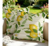 Outdoor Cushions 65cm x 65cm Set of 2 Waterproof Lemon Plant Cushion Covers Rustic Garden Cushions Summer Decorative Pillows Throw Pillow Covers Double-Sided for Outdoor Patio Garden Sofa -GY361