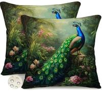 Outdoor Cushions 65cm x 65cm Set of 2 Waterproof Peacock Cushion Covers Garden Garden Cushions Summer Decorative Pillows Throw Pillow Covers Double-Sided for Outdoor Patio Garden Couch Sofa -GY350