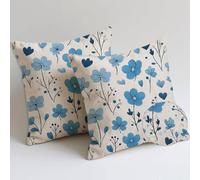 Outdoor Cushions Blue Cushion Covers 65x65 cm Waterproof Soft Large Garden Cushions Pack of 2 Floral Throw Pillow Cases Square Sofa Pillowcases for Summer Fall Farmhouse Decor, Gifts for Women C-968