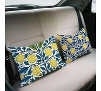 Outdoor Cushions Lemon Cushion Covers 50x70 cm, Waterproof Velvet Pillowcases Summer Throw Pillows Rectangular Decorative Pillowcases Set of 2 Sofa Pillows for Home Garden Office Car Fall Decor w-648