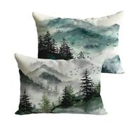 Outdoor Cushions Waterproof 30x60cm Turquoise Garden Cushions Abstract Linen Decorative Rectangle Pillows Covers Invisible Zipper Double Sided Printing Set of 2, Sofa Patio Fall Winter Decor Y-P433