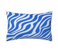 Outdoor Cushions Waterproof Blue Cushion Covers 40cm X 60cm Set of 2, Stripes Cushions Garden Cushions Waterproof Throw Pillow Covers, Decorative Pillows for Car Patio Hoom Decor Gifts 16x24 Inch,Z320