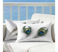 Outdoor Cushions Waterproof Feather, Peacock Cushion Covers 40x80 Pillow Cases 2 Pack, Linen Double-Sided Decorative Pillows Outdoor Cushion Covers Waterproof for Sofa Bedroom Garden Decor, Cod151