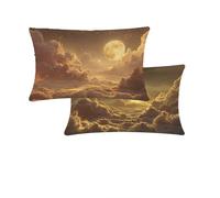 Outdoor Cushions Waterproof Orange Cushion Covers 40x70cm Pack of 2 Tan Garden Cushions Double-Sided Printing Linen Decorative Pillows for Outdoor Garden Chair Furniture Farmhouse Balcony Decor T427