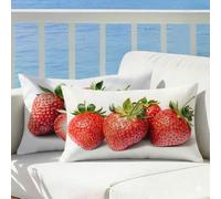Outdoor Cushions Waterproof Strawberry, Fruit Cushion Covers 50x80 Pillow Cases 2 Pack, Velvet Double-Sided Decorative Pillows Outdoor Cushion Covers Waterproof for Sofa Bedroom Garden Decor, Cod727