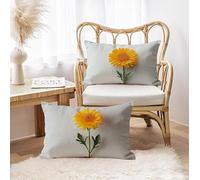 Outdoor Cushions Waterproof, Summer Simplicity Cushion Covers 16 x 24 Set of 2, Rectangle Velvet Pillow Covers with Invisible Zipper, Garden Cushion for Sofa Bedroom Room Decor, Gifts for Women h-429