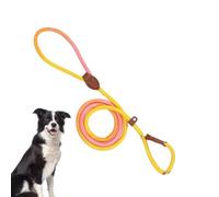 Outdoor Dog Tie - Reinforced Nylon Anti-Pull Accessory | Anti-Pull Rope, Accessories to Increase the Happiness of Dogs of All Sizes for Walking, Running, Hiking and C