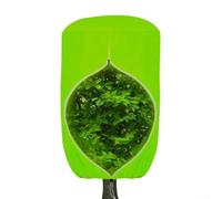 Outdoor Dome Plant Cover for Cold Weather Protection with Functional Zipper and Adjustable Drawstring Fit (75x90 inch green)