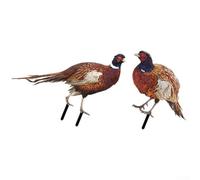 Outdoor Garden Pheasant Ornaments, Set of 2
