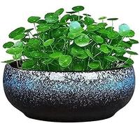 Outdoor Gardening Succulents Ceramic Flower Pot Bonsai, Without Drainage Holes Suitable for Hydroponic Plant Container, Garden, Terrace, Balcony, Courtyard Landscape Pott,Green (Blue)