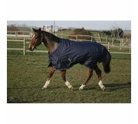 Outdoor horse blanket Equithème Classic 600D 50 g