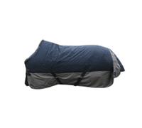 Outdoor horse blanket Equithème Tyrex 600 D 150g