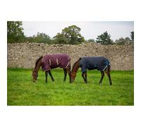 Horseware Amigo Expandable Foal Ripstop Turnout Rug Medium 200g Navy 2'6"-5'0"