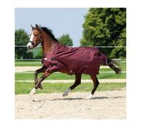 Outdoor horse blanket Kavalkade Alaska IV 100 g