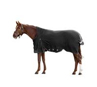 Outdoor horse blanket with high neck Waldhausen Scandic 100g