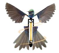Outdoor Hummingbird Toy - Handheld Feeder Wand, Colorful Flower Design, Non Slip Interactive Lightweight Plasticc | Engaging Nature Interaction For Backyard Bird Watching Wildlife Education For Home