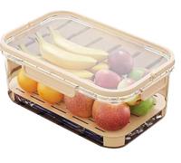 Outdoor Ice Preservation Box Double Layer Food Container for Camping, Kitchen and Fridge Use - 25×16.5×11.5 cm - Green & Beige - BPA Free