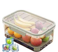 Outdoor Ice Preservation Box Double Layer Food Container for Camping, Kitchen and Fridge Use - 25×16.5×11.5 cm - Green & Beige - BPA Free