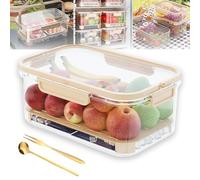 Outdoor Ice Preservation Box, Portable Snackle Box Container with Ice Pack & Handle,Clear Ice Preservation Holder with Drain Divider,for Meat,Veggies, Keep Food Cool Fresh,for Camping Picnic (White)