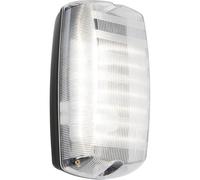 Outdoor IP65 Bulkhead Wall Light - Cool White LED - Weatherproof Conduits Loops White One Size
