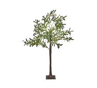CELIONI 120 cm