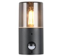 Outdoor Light Black Hoosic Wall IP44 Matt PIR Motion Sensor Trio 222260132