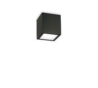 Outdoor Modern Black Garden Veranda Ceiling Spotlight DL1650