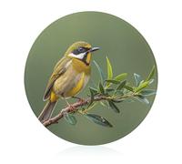 Outdoor Olive Green Flowering Birds Cutting Board, Round Tempered Glass Chopping Block Unique Kitchen Cutting Boards for Pizza, Vegetables, Fruits, Cheese And Charcuterie