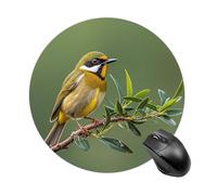 Outdoor Olive Green Flowering Birds Round Mouse Pad Smooth Glide Gaming Mousepad Extra Density Portable Comfortable Mouse Mat for Desk, Home, Office 7.8x7.8 Inches