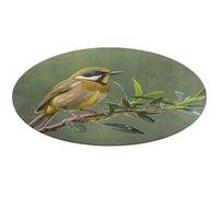 Outdoor Olive Green Flowering Birds Round Rug Soft Absorbent Bath Mat Entryway Anti Slip Rugs Farmhouse Front Back Door Mat 80 * 80cm for Bedroom Living Room Home Decorative