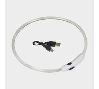 Outdoor Paws USB Rechargeable LED Ring Dog Collar One Size