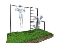 Outdoor Power Station Pull-Up Bar Dip Station Pull Up Bar Caterpillar Bar Ladder Bar Wall Bars Outdoor Up to 250 kg ZO7-60