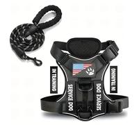 Outdoor Reflective Dog Walking Training Harness And Leash Set No Pull Adjustable Nylon Dog Harness Vest For Medium And Large Dogs,E,XS