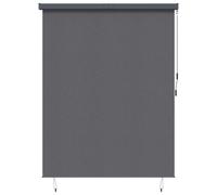 Outdoor Roller Blind Anthracite 200x250 cm Fabric & Aluminum Hand Crank Ceiling