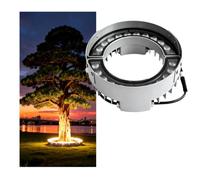 Outdoor Round Plant Lights, DC 24V Waterproof LED Palm Tree Shooting Lights