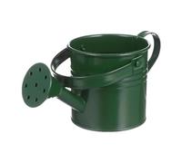 Outdoor Watering Can - Decorative Watering Can with Handle | Galvanised for Plants - for Lawn, Patio, Backyard, Family, Friends, Neighbours, Gardeners and