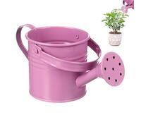 Outdoor Watering - International and Outdoor Watered Can for Plants with Ergonomic Handle | Decorative Vase for Garden, Patio, Lawn Gardeners, Family and Friends