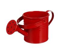 Outdoor Watering - International and Outdoor Watered Can for Plants with Ergonomic Handle | Decorative Vase for Garden, Patio, Lawn Gardeners, Family and Friends