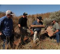 Outlaw Fortune Of The Dalton Gang