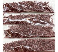 Outlet 10 Grams Preciosa Ornela Seed Beads, Round Hole, Loose, 11/0, Dark Red 79 (23980-79105), Glass, Czech Republic (11/0)