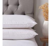 Outlet Northern Nights Premium Duck Feather & Down Pillow SINGLE