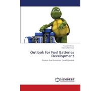 Outlook for Fuel Batteries Development