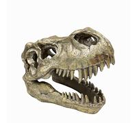 OUTOUR T-Rex Skull Statue - 7.6" Realistic Dinosaur Head Sculpture Tyrannosaurus Rex Fossil Replica for Home Office Decor Man Cave Collector’s Display Faux Taxidermy Trophy (Resin)