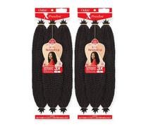 Outre Crochet Braids X-Pression Twisted Up 3X Springy Afro Twist 24" (2 Pack, 1B)