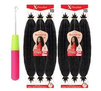 Outre Crochet Braids X-Pression Twisted Up 3X Springy Afro Twist 24" (2 Pack, 1B) With Latch Crochet Hooks, Crochet Needle