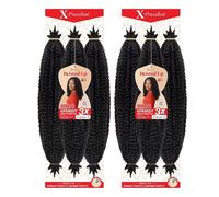 Outre Crochet Braids X-Pression Twisted Up 3X Springy Afro Twist 24" (2-Pack, Colour-2)