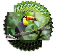 Outside Fall Decor Mini Decal - A Colorful Toucan Perches On A Moss-Covered Branch in A Lush, Green Forest Removable Decal Cover Easy Peel for Christmas(12X18CM)