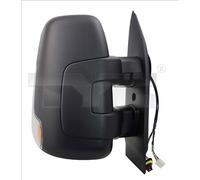 TYC 315-0009 Wing mirror